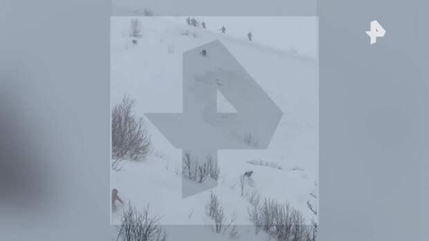 На российских туристов сошла лавина в горах Грузии