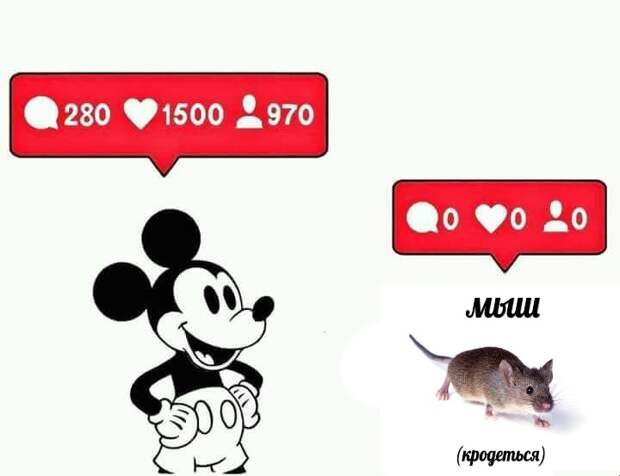 Мыш (кродеться)