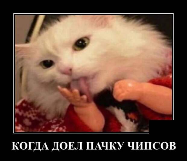 Демотиватор про чипсы