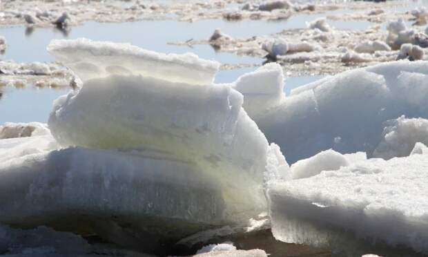 На реках Поморья и Вологодчины ледоход ожидается раньше обычного
