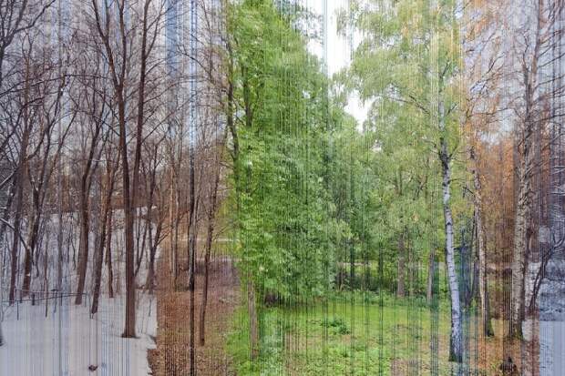 AmazingShot10 Фотографы рассказывают про свой лучший кадр
