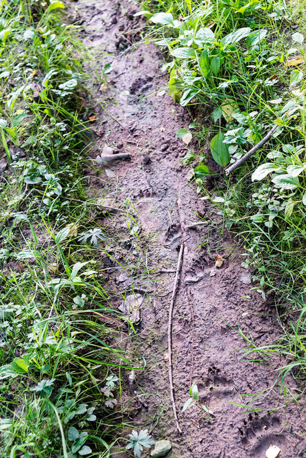 DSC_8846.jpg DSC_8846.jpg
