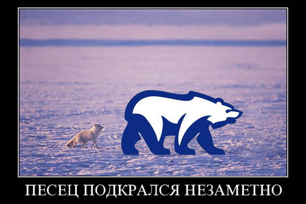 Arctic-Fox+Polar-Bear