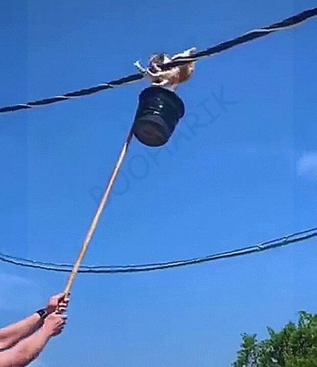 Гифки Гифки
