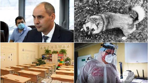 Новые слухи об отставке губернатора и подорожавшие бездомные собаки в  Оренбурге