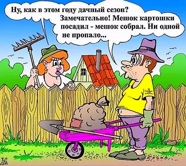 Огородники план рассказа