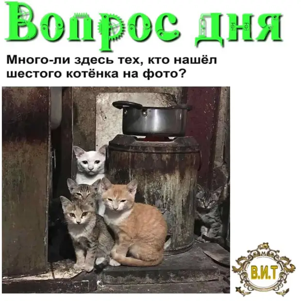 Если быстро ничего не делать, можно очень много не успеть Если быстро ничего не делать, можно очень много не успеть работе, глубинке, рождения, долбаной, заначки, проклялДеньги, итоге, нашлисьПод, холодильникомЖенщина, становится, потратил, старше, опаснееФотомодель, съемках Фотограф, теперь, милая, изобразите, поиски, недели, задумчивость