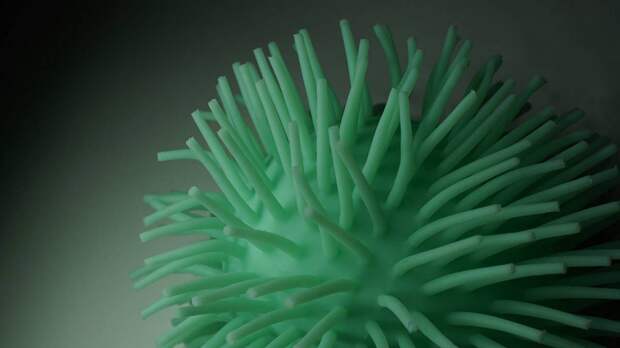 Врач оценил, насколько подвид коронавируса «кентавр» опасен для вакцинированных