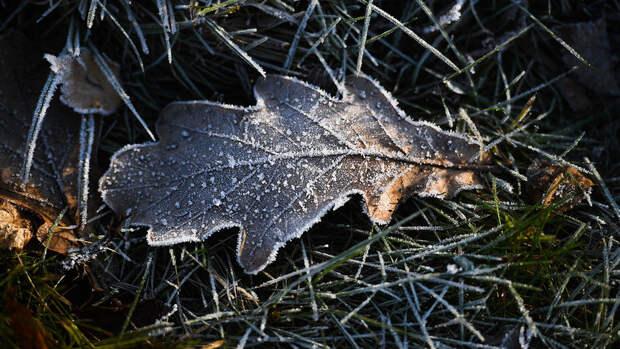 Вильфанд: в Поволжье и на Урале на следующей неделе сохранится холодная погода