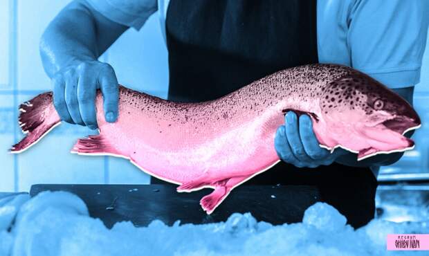 Рыбный прилавок