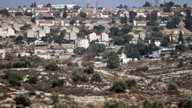 Израиль продолжит высадку деревьев в пустыне Негев, несмотря на протесты