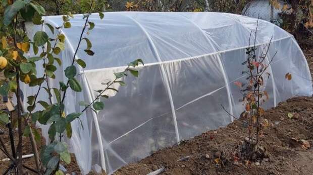 Бюджетная тепличка из ПВХ труб и плёнки. Строится за пару часов