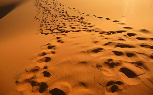 Картинки по запросу