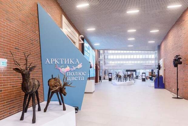 Третьяковка проведет интерактивную программу об Арктике