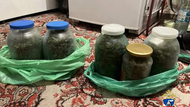 В Рубцовске пенсионер получал "богатый урожай" конопли на картофельном поле и замораживал