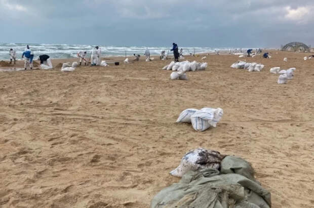 В Анапе установят памятник волонтерам, устраняющим разлив мазута