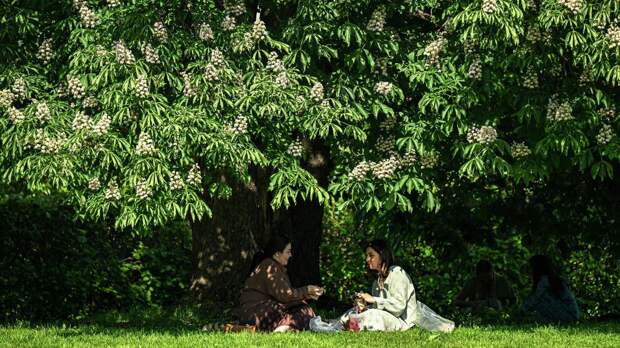 Психолог Евстигнеев: интенсивная 20-минутная ходьба поможет быстро справиться со стрессом