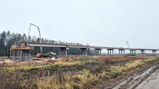 Стало известно, какие города соединит новая высокоскоростная железнодорожная магистраль