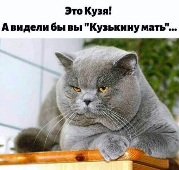 У нас водитель должен уметь две вещи: уворачиваться от ям, и уворачиваться от тех, кто уворачивается от ям