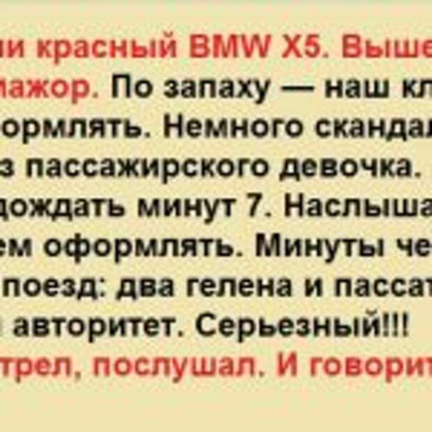 ВСЕ КАК В ЖИЗНИ. Тормознули BMW X5. Вышел мальчик, мажор. По запаху — наш клиент. Начали оформлять…