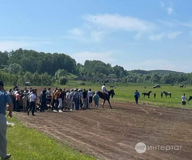 «Күз яше төшми калмас атның»: Актаныш Сабан туенда ат үлеме буенча тикшерү эше башланган