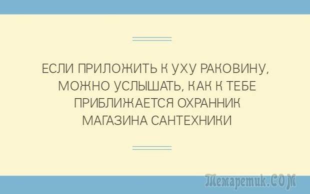 Шутки со страниц интернета