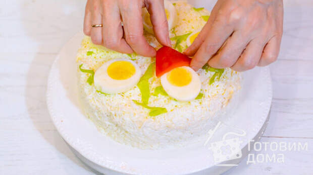 Новогодний Салат 2020 &quot;Дед Мороз и Компания&quot; с курицей и черносливом фото к рецепту 11