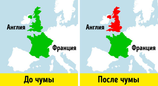 700 лет назад в Европе бушевала чума. Ее последствия мы ощущаем до сих пор