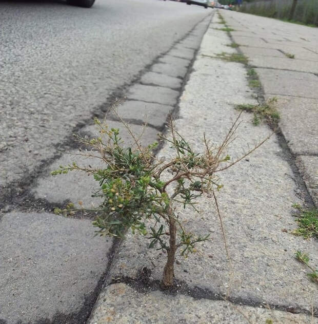 24 фото, доказывающих, что самая большая сила на Земле - природа, а не люди