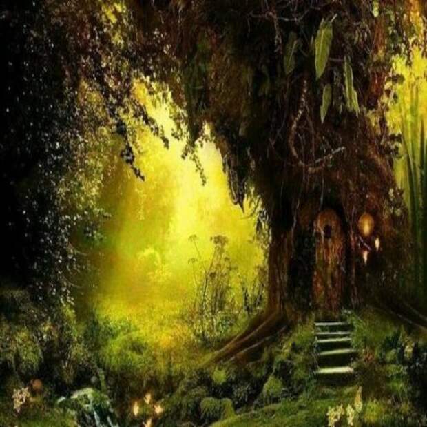 Как гадать при помощи деревьев?