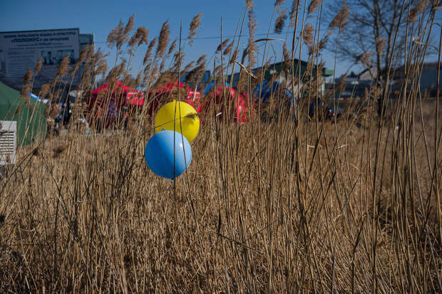В Киеве и Николаеве прогремели взрывы