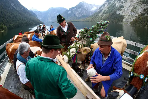 "Хомяки" и Украина: из-за чего в Германии возник продуктовый кризис