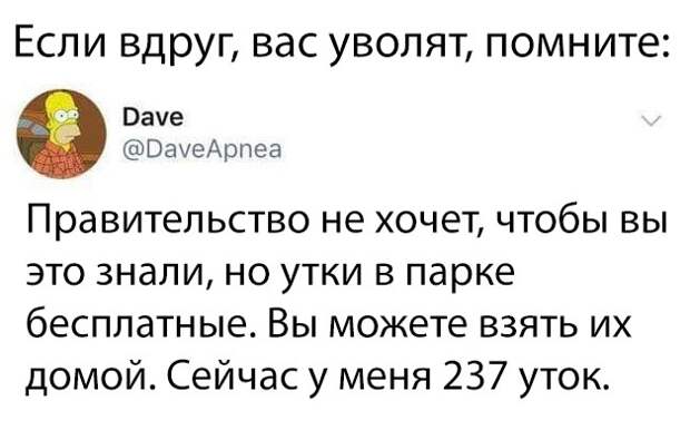 Подборка прикольных картинок