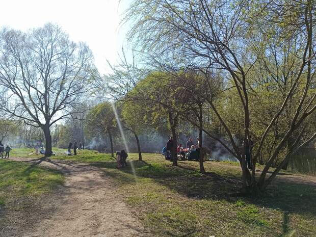 Закон не писан: петербуржцы показали, как относятся к запрету жарить шашлык в Пулковском парке