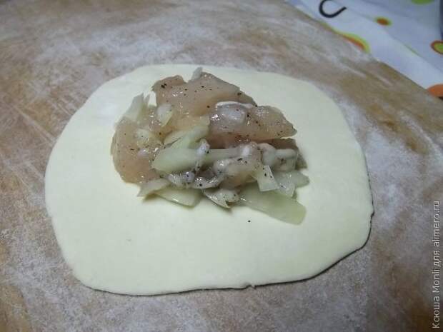 самса с курицей самса с курицей