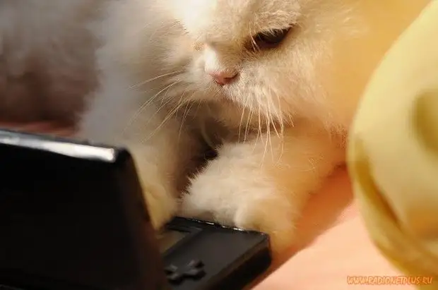 Улыбнись! :) (21повод)