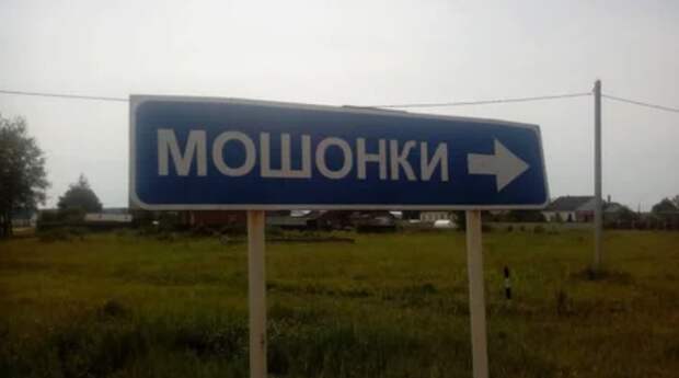 название, указатель