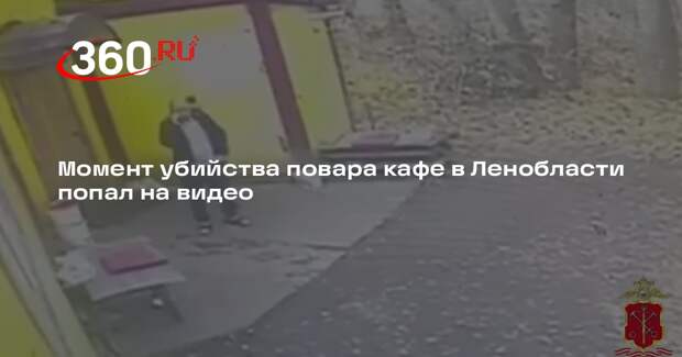 Момент убийства повара кафе в Ленобласти попал на видео