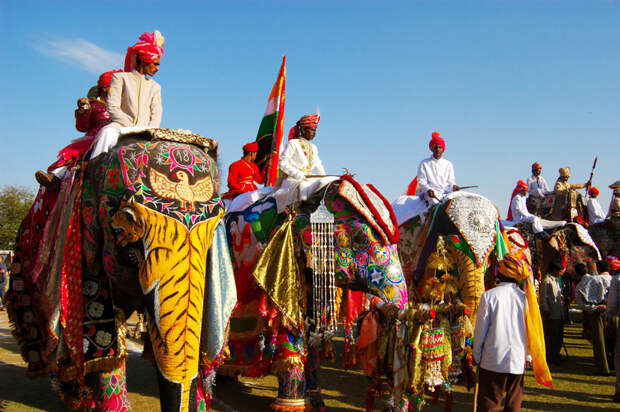 unique-festivals-around-the-world-jaipur-elephant-festival-2