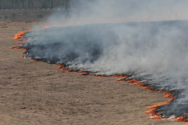 Чрезвычайную пожароопасность прогнозируют в Ростовской области