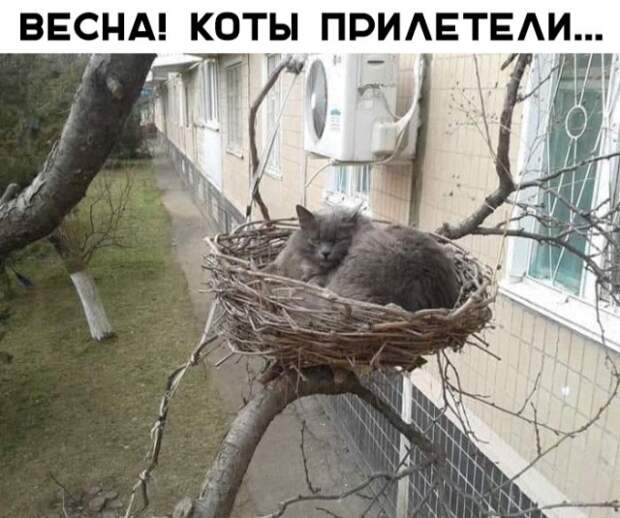 www.vsyako.net