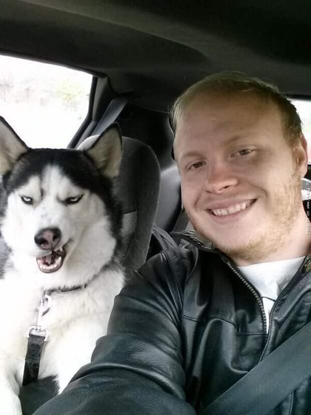 Это собака покушение на самом деле хорошо выглядит в selfie.