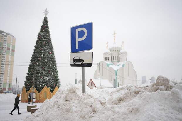 Бегущих через полуметровые сугробы жителей Подмосковья сняли на видео