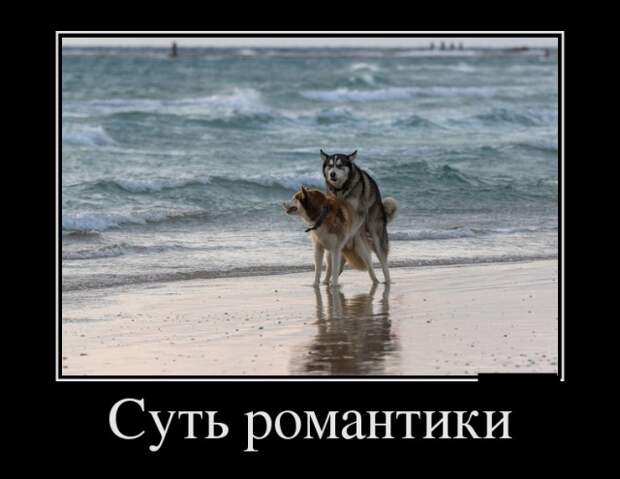 Демотиваторы (30 фото)