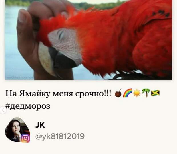 Люди рассказали, какой подарок они хотят получить в Новый год