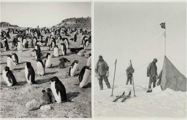 Фотографии экспедиции Роберта Скотта на Южный полюс.