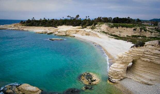 Это всё красоты Сирии!