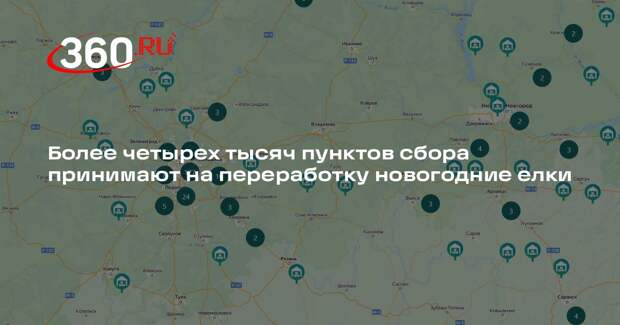Более четырех тысяч пунктов сбора принимают на переработку новогодние елки