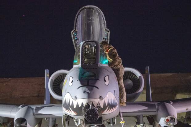 США превратили «Бородавочников» в охотников за БПЛА для «Эпической ярости»