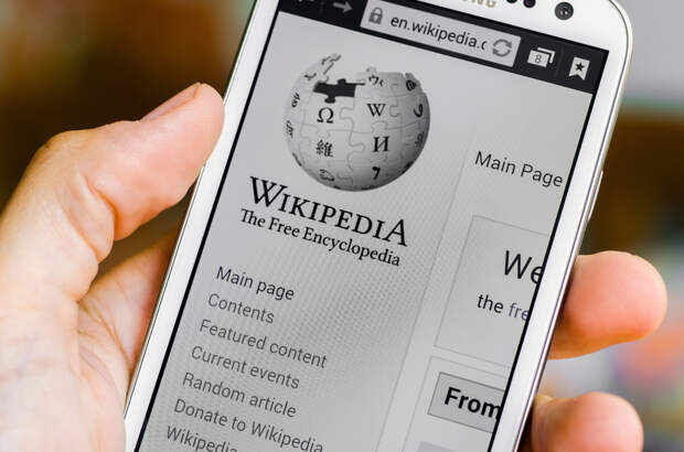 Юрист Илья Русяев рассказал о мошенниках, представляющихся сотрудниками Википедии
